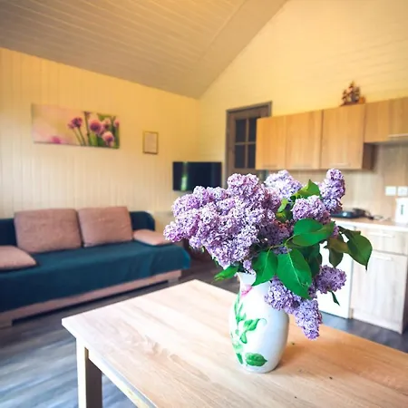 Orman Evi Skowronek Szczytna