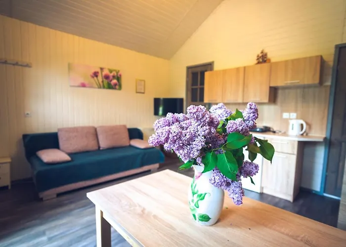 Lodge Skowronek Szczytna